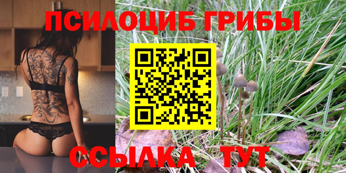 Галлюциногенные грибы Cubensis Кубинка